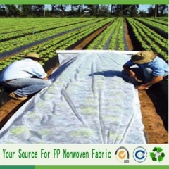 Weed Control Fabric