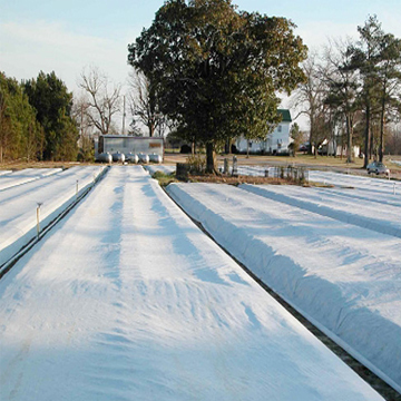 PP Nonwoven Fabric used in agriculture