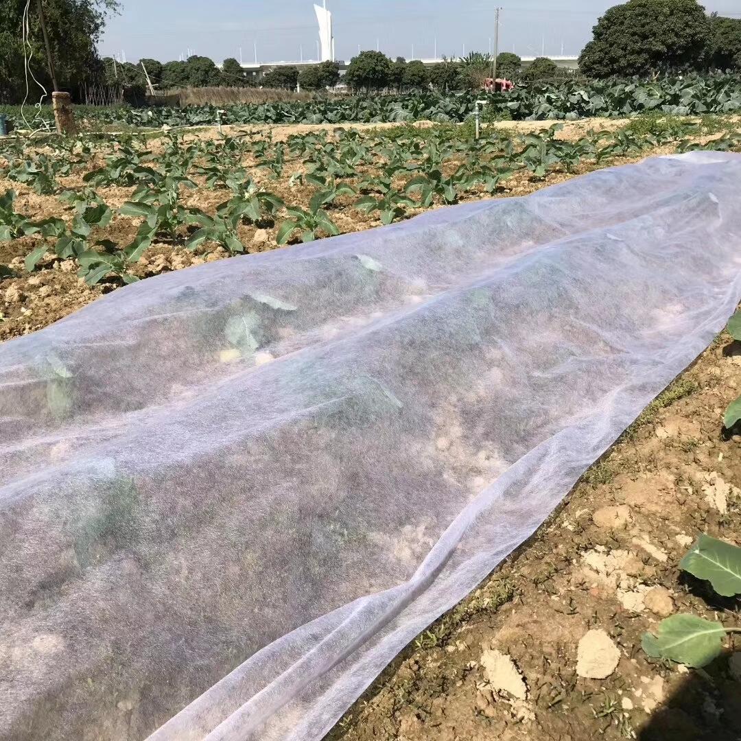 what is Anti-aging /UV non-woven fabric?